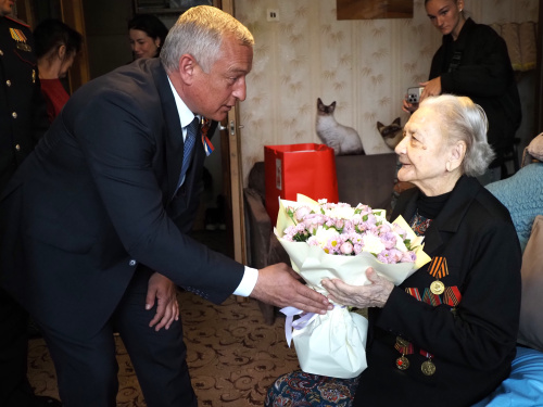 Депутаты поздравили ветеранов с Днем Победы 