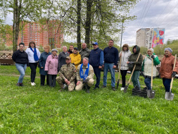 В сквере 40 лет Октября высадили саженцы дуба