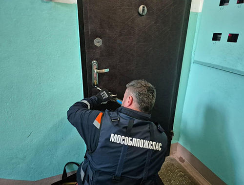 Спасатели помогли жительнице Лобни попасть в запертую квартиру