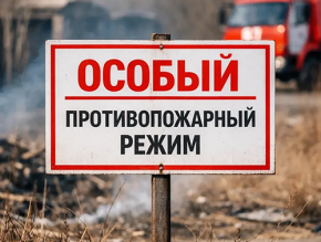 Особый противопожарный режим в Московской области: меры предосторожности и ответственность