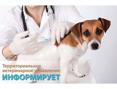 Территориальное ветеринарное управление информирует