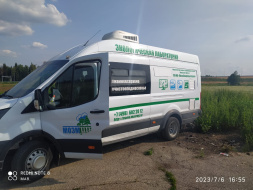 Специалисты устанавливают причину гибели  рыбы в Раздерихе.