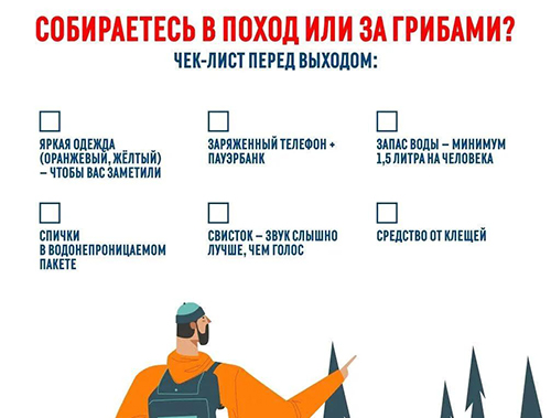 Собираетесь в поход или за грибами?
