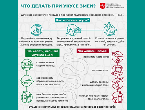 Жителей Лобни предупредили об опасности встречи со змеями