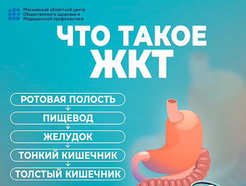 Минздрав напоминает: здоровое пищеварение — основа активного долголетия