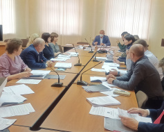 Работа в депутатских комиссиях