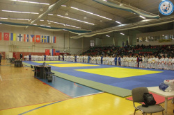 Дворец Спорта "Лобня" имени С.С. Сокола