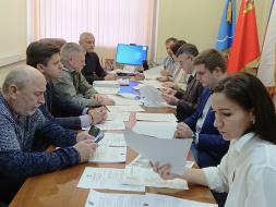 Работа в профильных комиссиях 