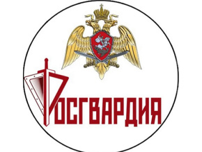 Росгвардия разъяснила порядок контроля за оборотом оружия