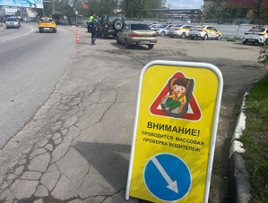 В приближающиеся выходные Госавтоинспекция городского округа Лобня проведет профилактический рейд "Ребенок-пассажир"