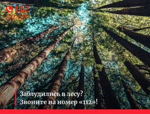 Для тех, кто не планирует заблудится в лесу!