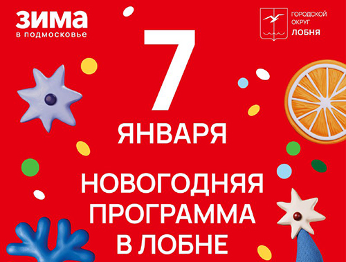 Рождественские гуляния, мультпоказ и хоккей: в Лобне продолжаются развлекательные мероприятия