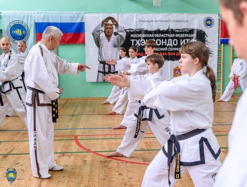 Международный мастер-класс по тхэквондо с корейским гранд-мастером прошел в Лобне