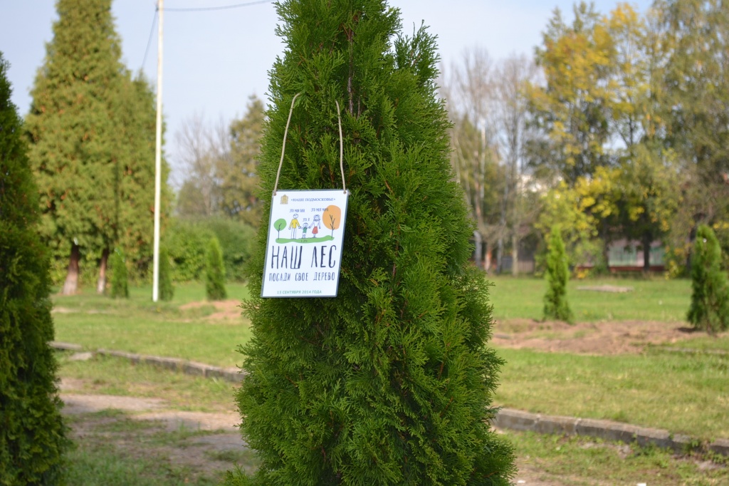DSC_0247.JPG