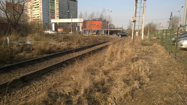 1o38hWDpNA4.jpg