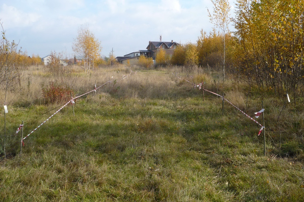 P1010822.JPG
