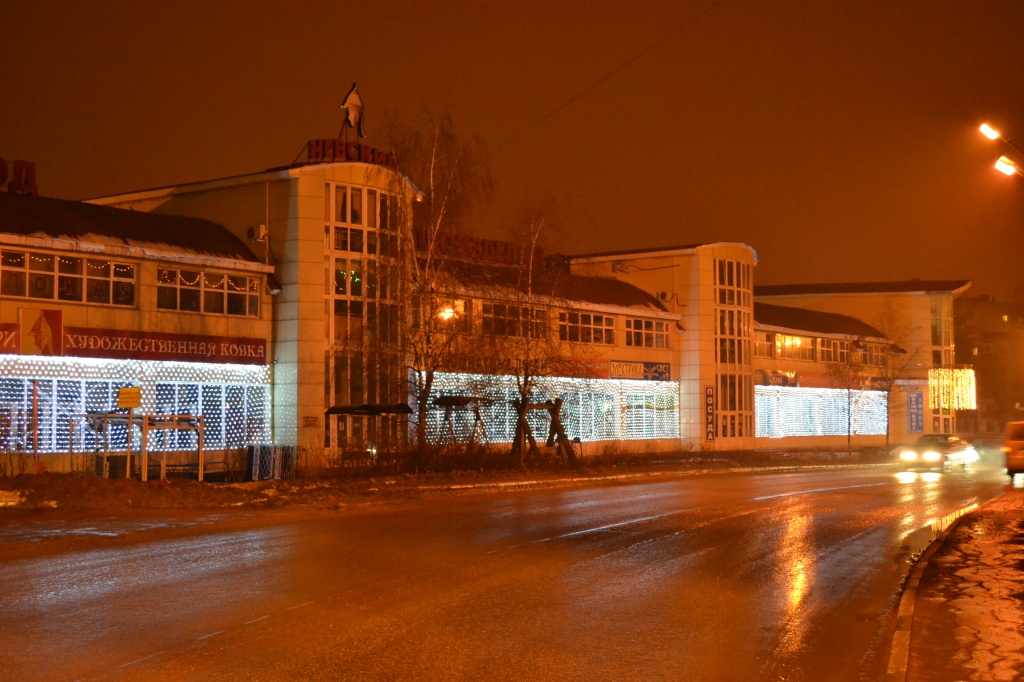 DSC_0248.JPG