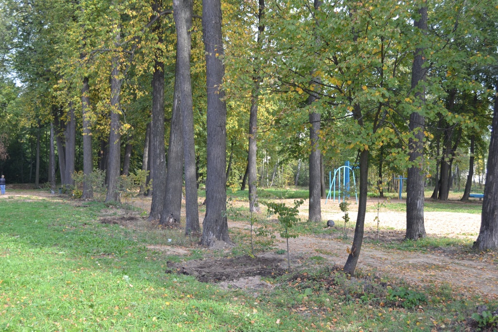 DSC_0250.JPG