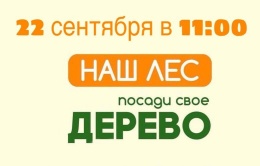 22 сентября более чем на 50 площадках в Лобне высадят саженцы деревьев в рамках акции «Наш лес. Посади свое дерево» 