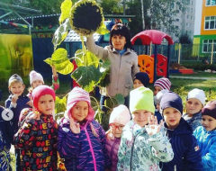 Дети из группы №12 детского сада "Радуга" с лета наблюдали, как растет подсолнух Дети из группы №12 детского сада "Радуга" с лета наблюдали, как растет подсолнух