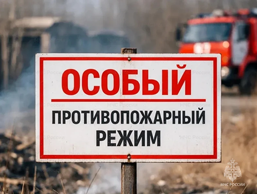 Жителей Лобни предупредили о введении особого противопожарного режима