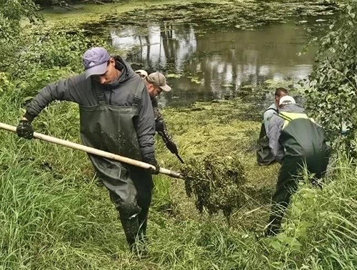 В Лобне стартовала очистка прудов в микрорайоне Луговая