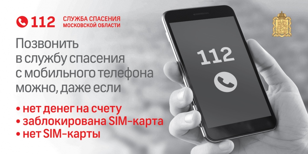 112HandSmartphone.jpg